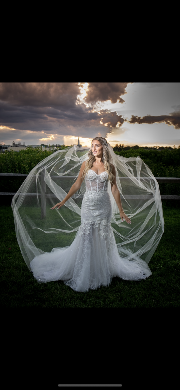 Dany mizrachi hotsell wedding dresses prices