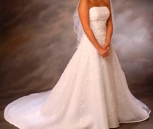 Popular Lady Eleanor Strapless Wedding Gown