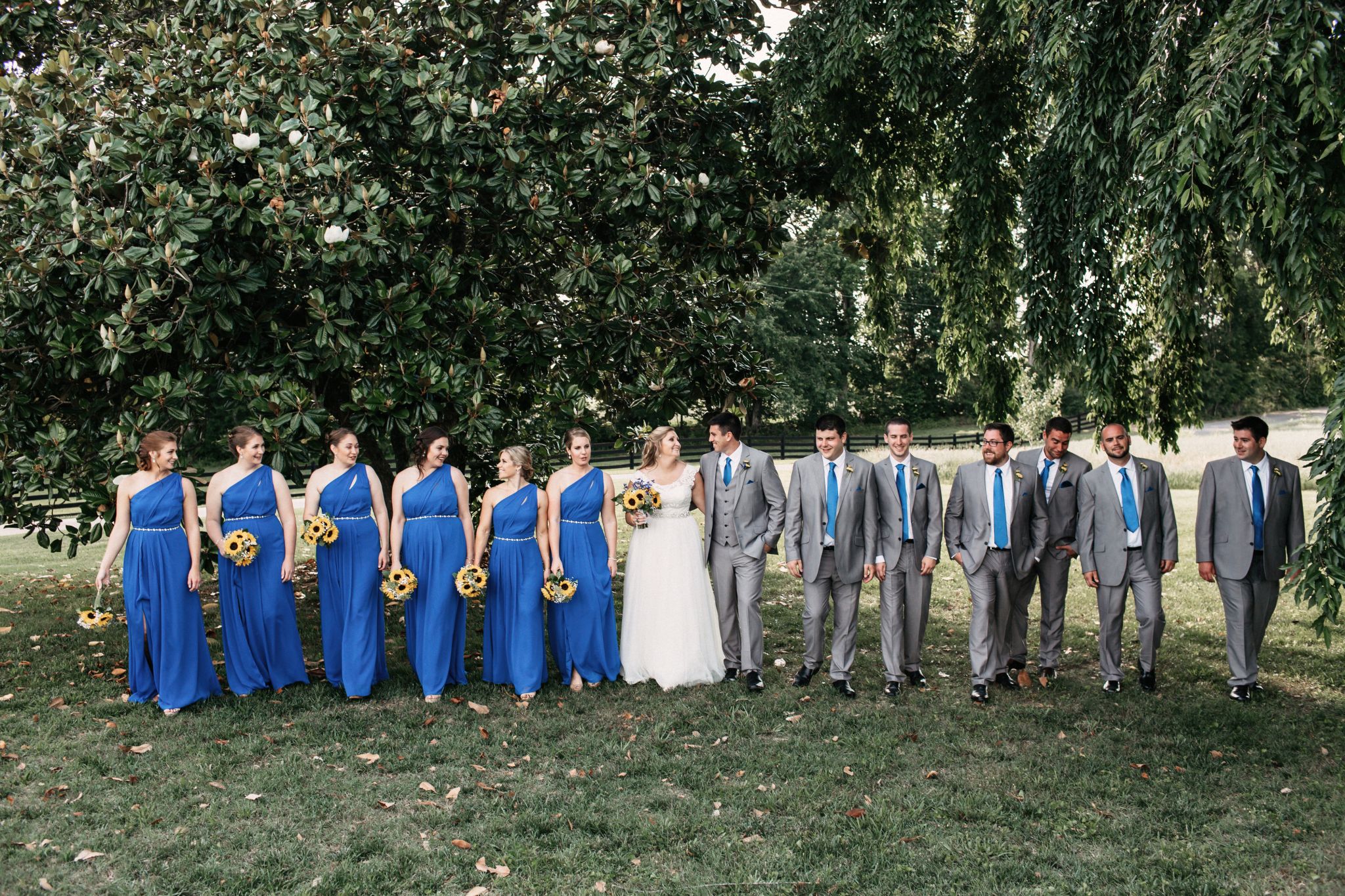 david's bridal f18055 Store F18055 david s bridal discount