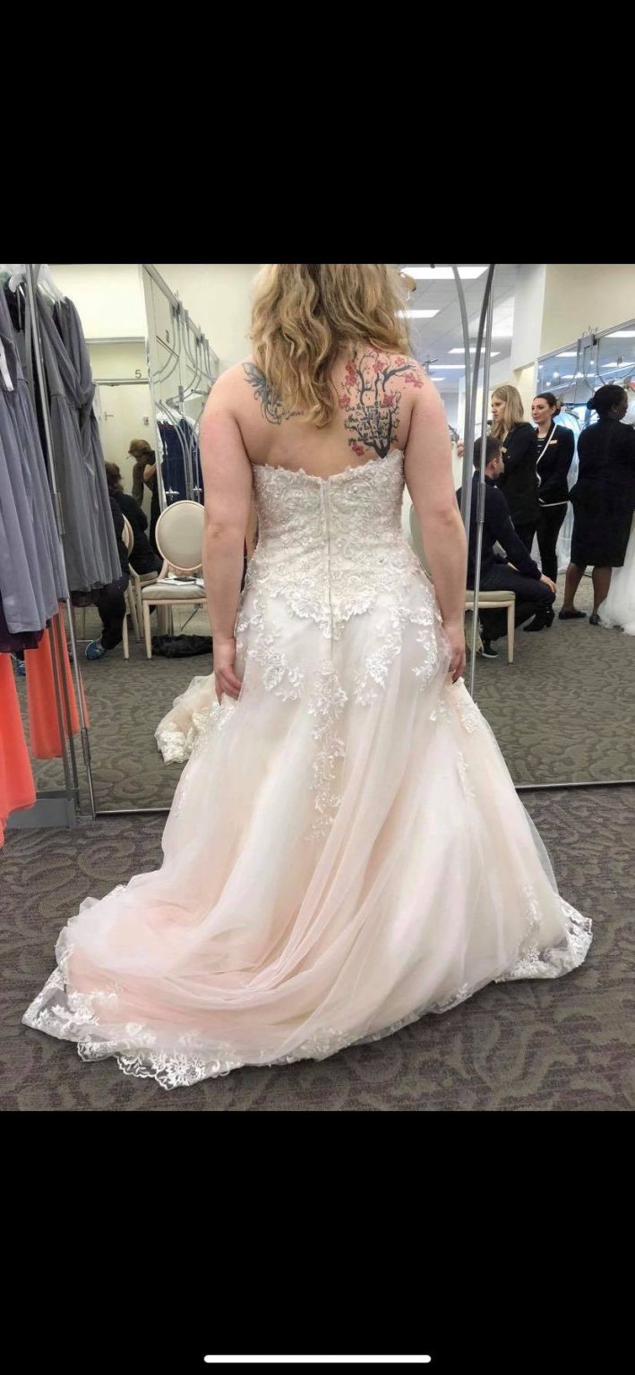 David's bridal rose dress shop