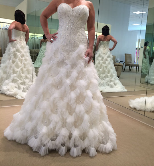 Demetrios Ilissa 505