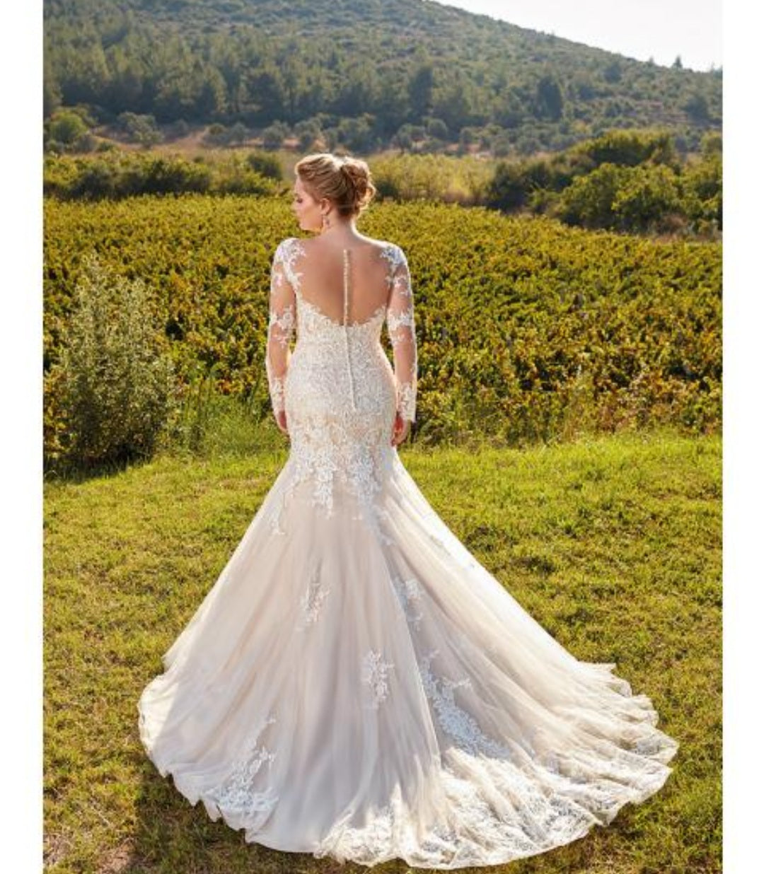 Eddy K Eva curvy UR103 – Nearly Newlywed - Main Image