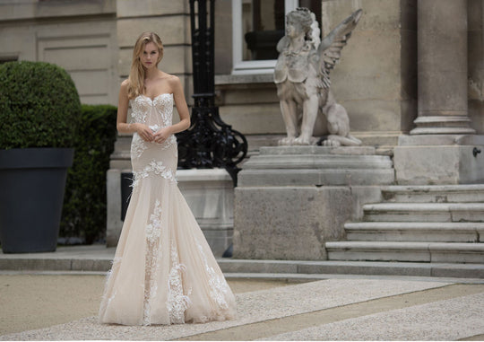 Idan Cohen Tiger Lily