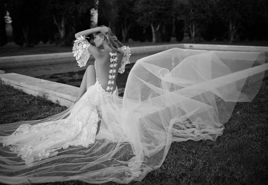 Idan Cohen Butterfly