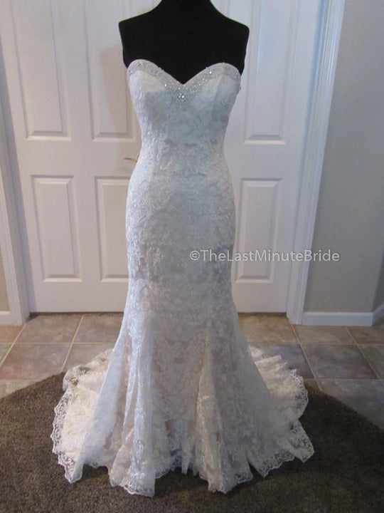 Jacquelin Exclusive Heather 19034