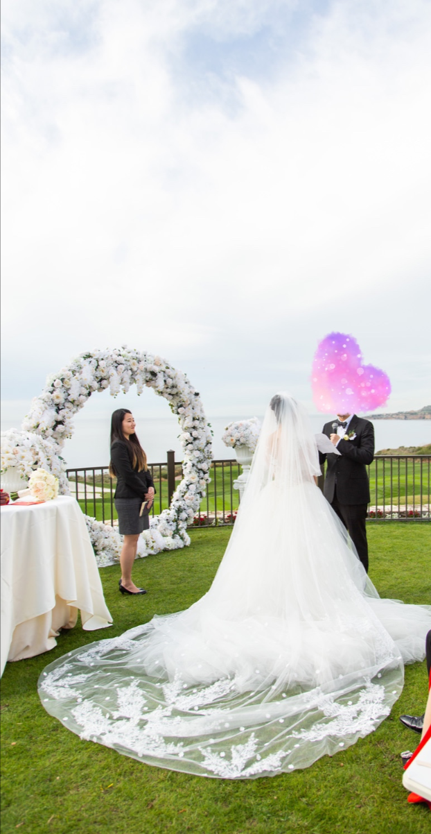 La sposa by pronovias 2019 on sale