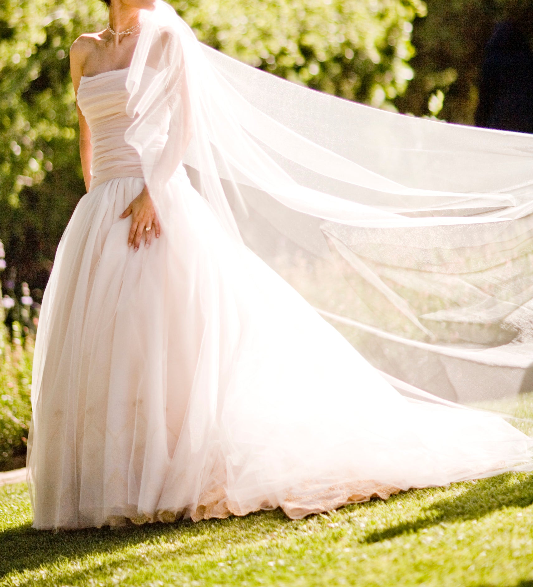 Lazaro tulle ball gown best sale