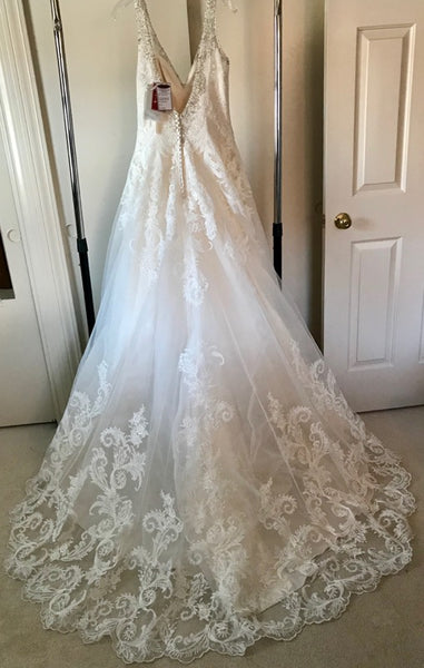 89181 2024 mori lee