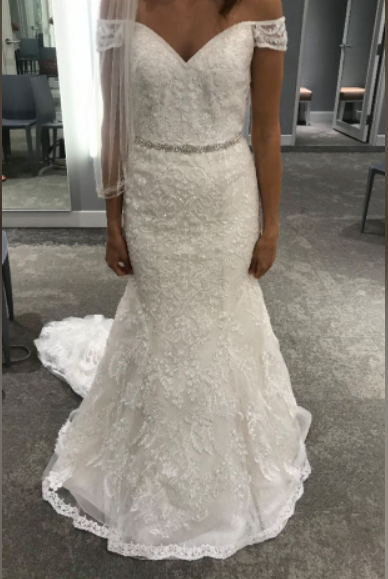 Oleg online cassini xtcwg808