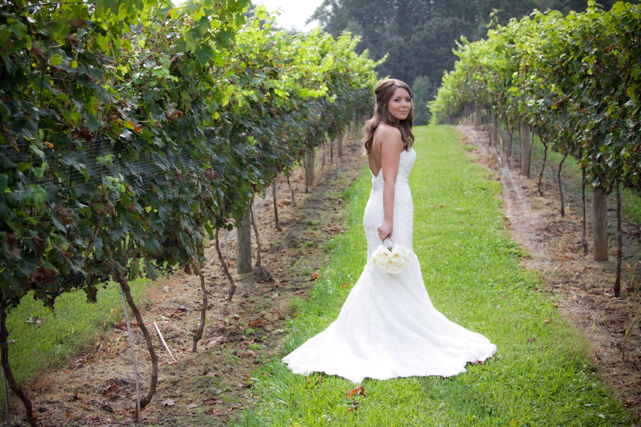 Other Mori Lee Style 1862 Elegant Alencon Lace – Nearly Newlywed, image size:2048x1365