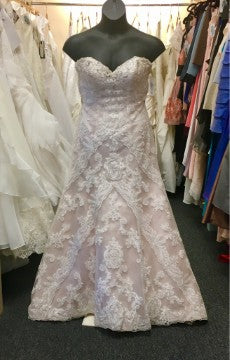 Private Collection 18969