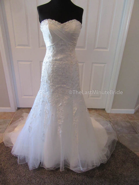 Private Collection 18868