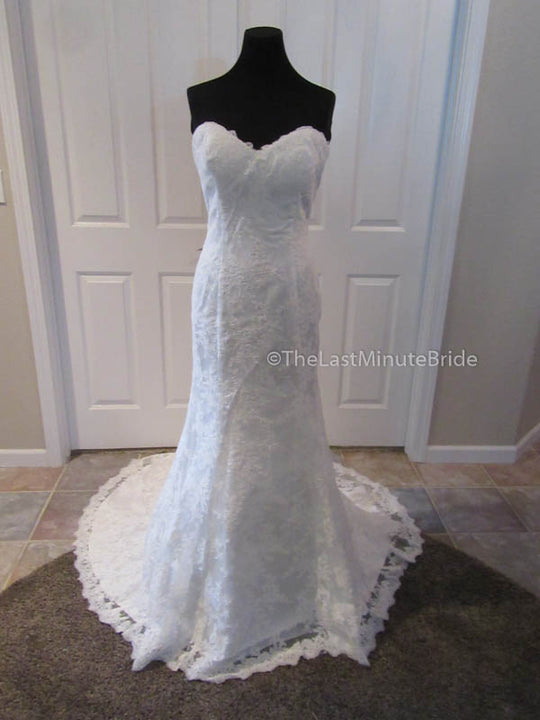 Private Collection 18993