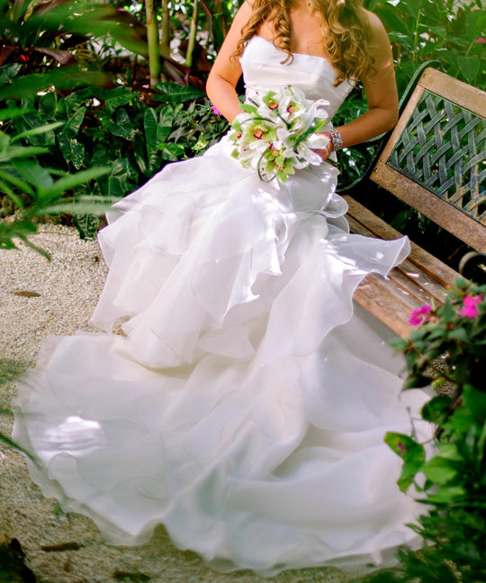 Stefan Jolie Ruched Organza