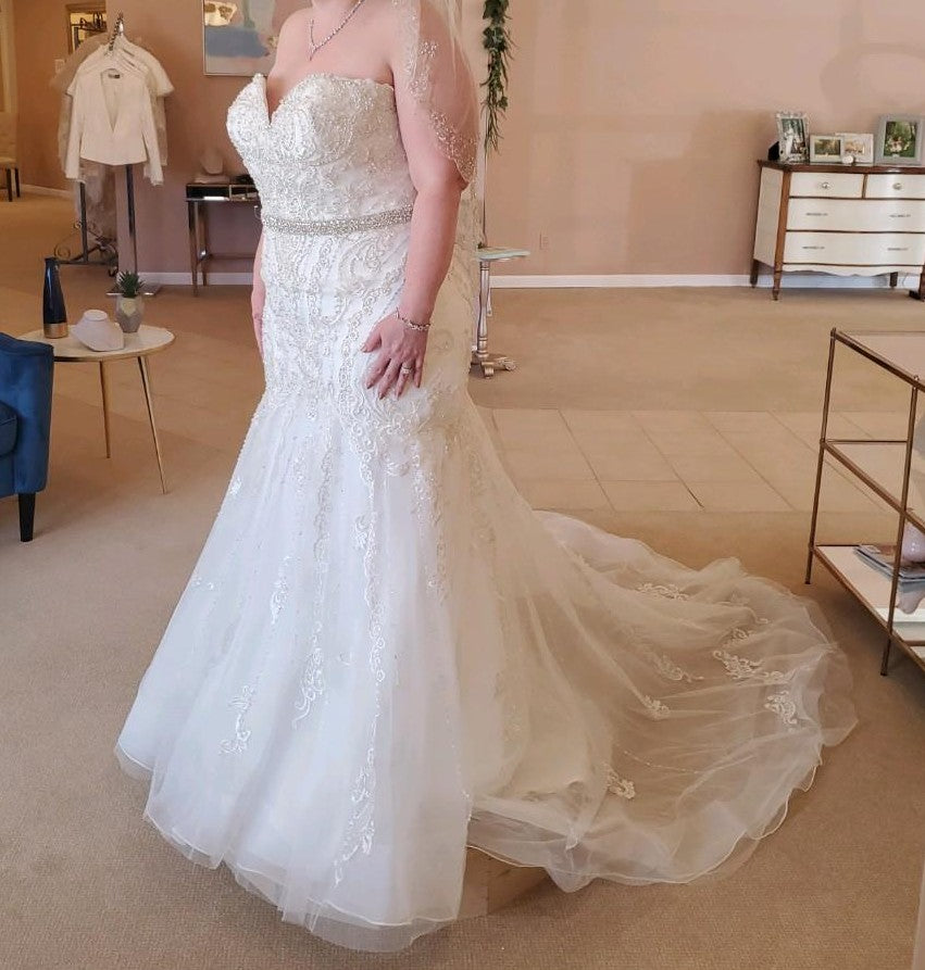 Plus Size Stella York 2019 Wedding Dresses Stella York Spring 2019