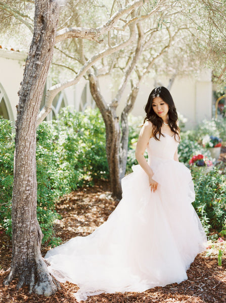 Vera Wang Ombre Wedding Dress